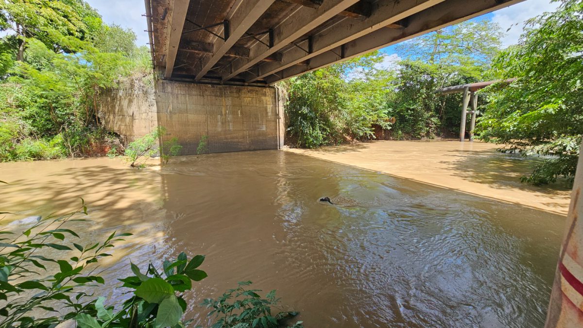 Alcaldía mantiene monitoreo de la cota hídrica del río Amana y Guarapiche 4 rio4