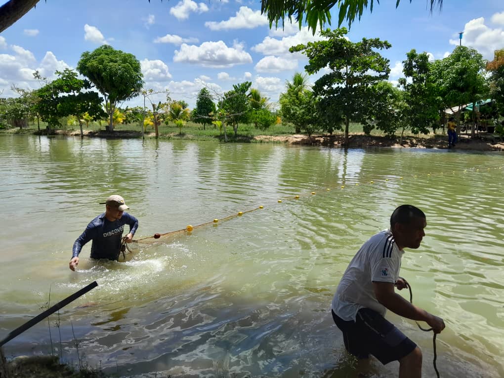 Dictan en Maturín taller de piscicultura comunitaria 3 taller3 1