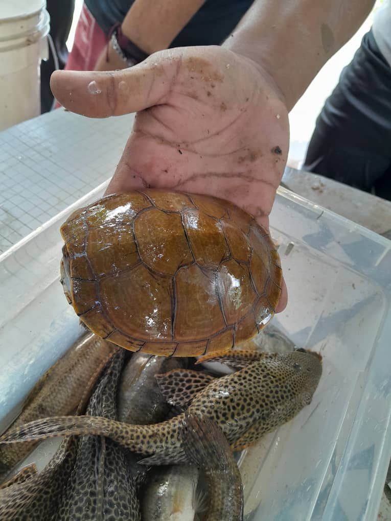 Dictan en Maturín taller de piscicultura comunitaria 4 taller4