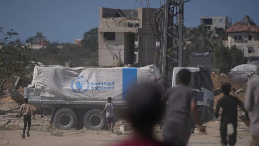 Crisis sanitaria en Gaza: Israel solo dejó entrar de 60 camiones con medicinas 1 camiones con medicinas