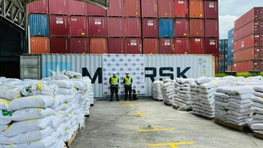 Catorce toneladas de cocaína incautadas en el principal puerto del Pacífico colombiano 1 puerto del Pacífico colombiano