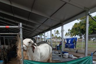 Monagas Expoagrioindustrial