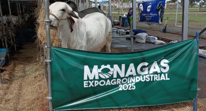 Expo Agroindustrial 2025 abierta al público este fin de semana