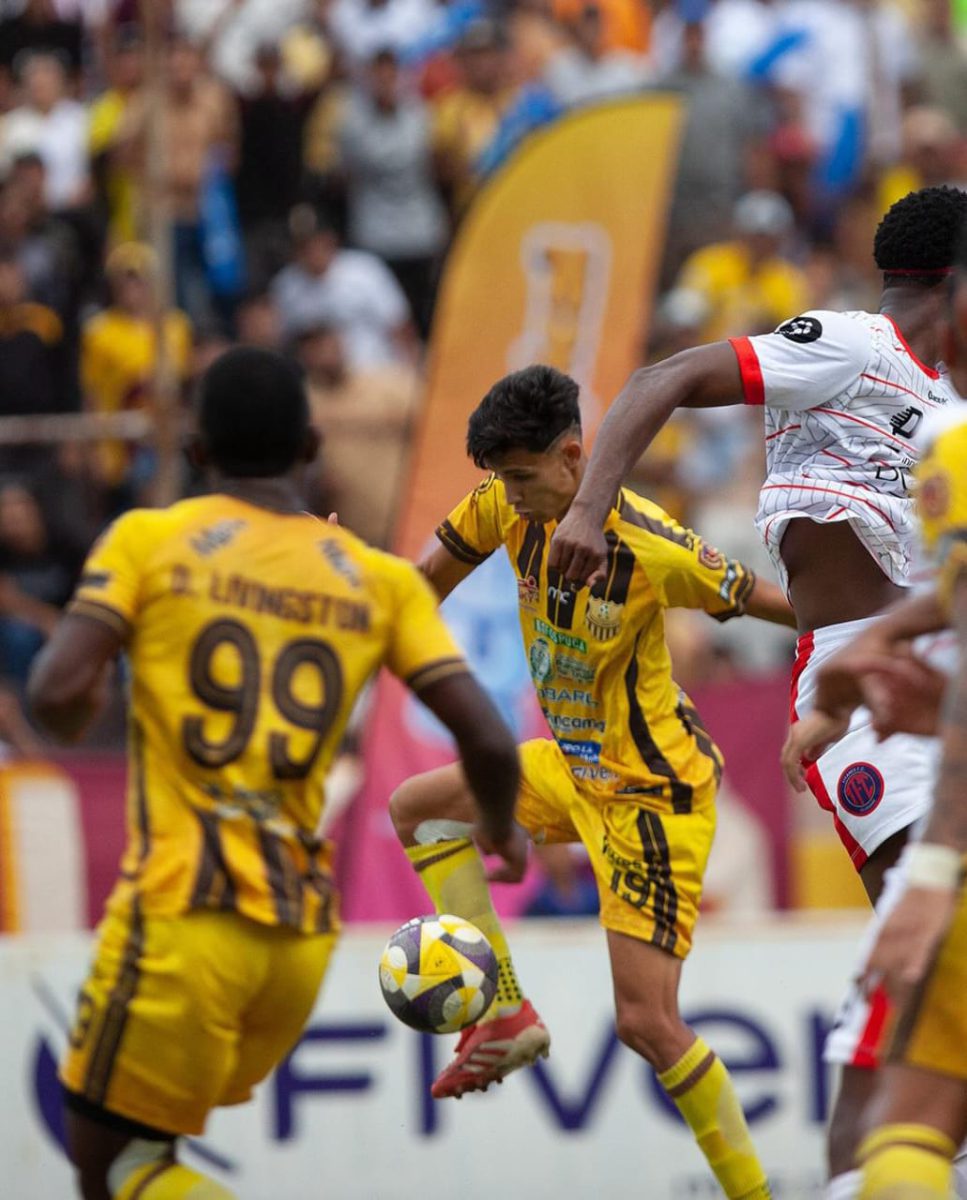 WhatsApp Image 2025 11 17 at 11.09.29 AM