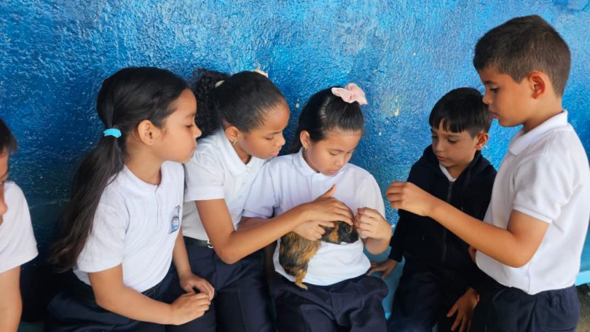 Alcaldía de Maturín llevó el zoológico va a la escuela Cecilio Acosta 1 alcaldía