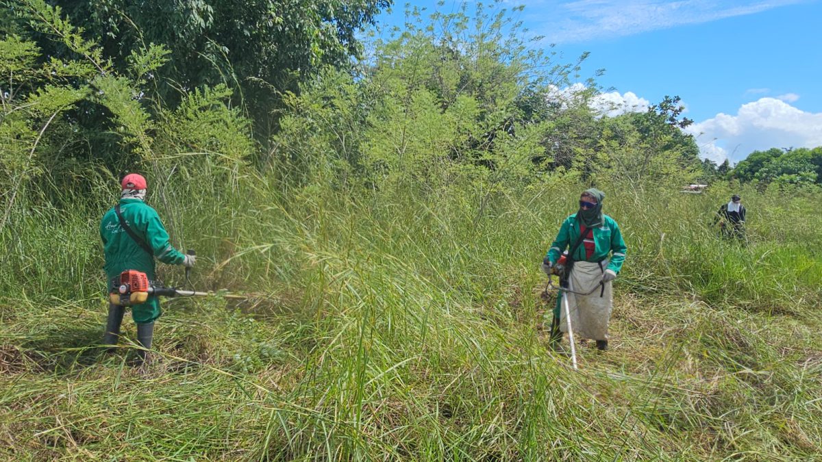 Alcaldía avanza con plan de mantenimiento y embellecimiento Maturín 2025 2 cuadrilla2