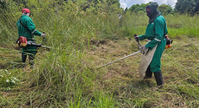 Alcaldía avanza con plan de mantenimiento y embellecimiento Maturín 2025