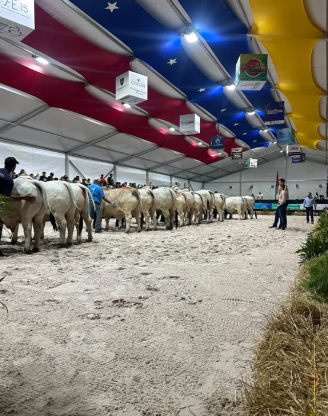 Embriolab presentó la biotecnología reproductiva bovina en la Expo Agroindustrial 2 embriolab4
