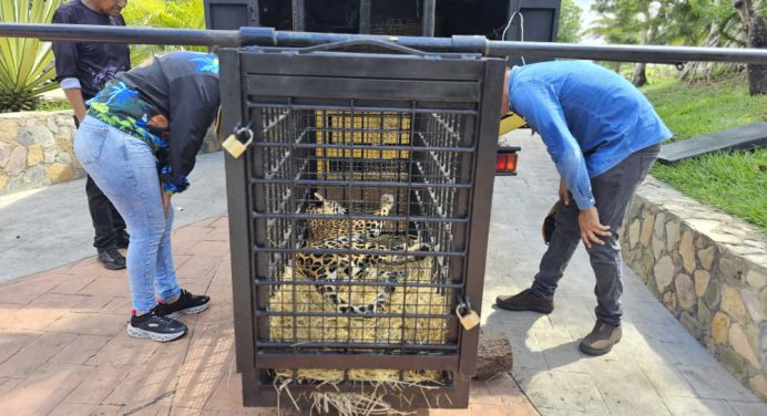 Parque Zoológico La Guaricha recibe nuevas especies para su conservación