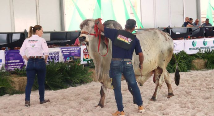 Monagas Expo Agroindustrial 2025 calienta motores para su segunda edición