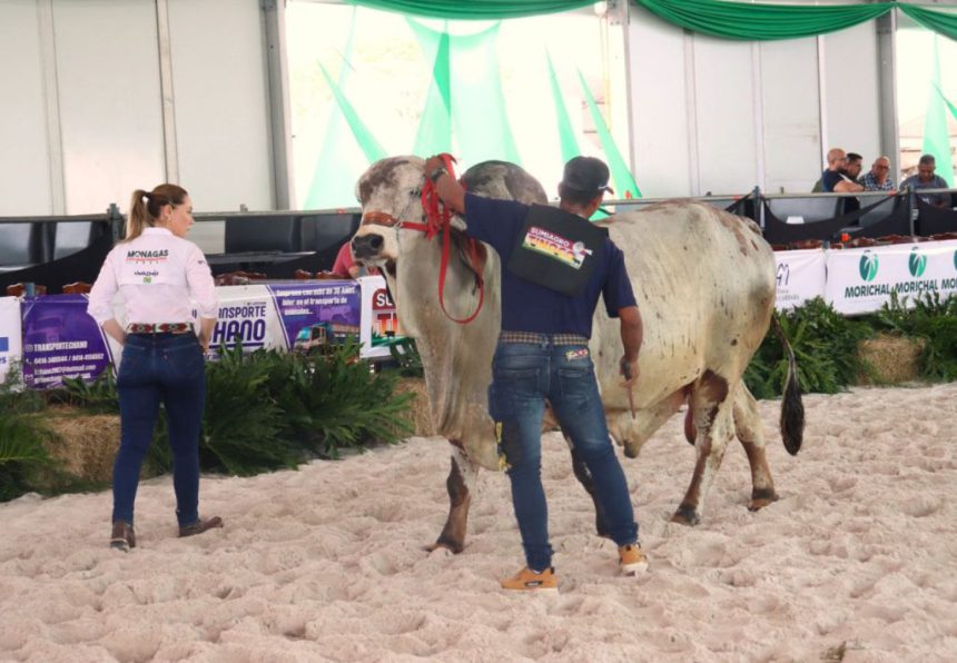 Monagas Expo Agroindustrial 2025 calienta motores para su segunda edición 1 Expo