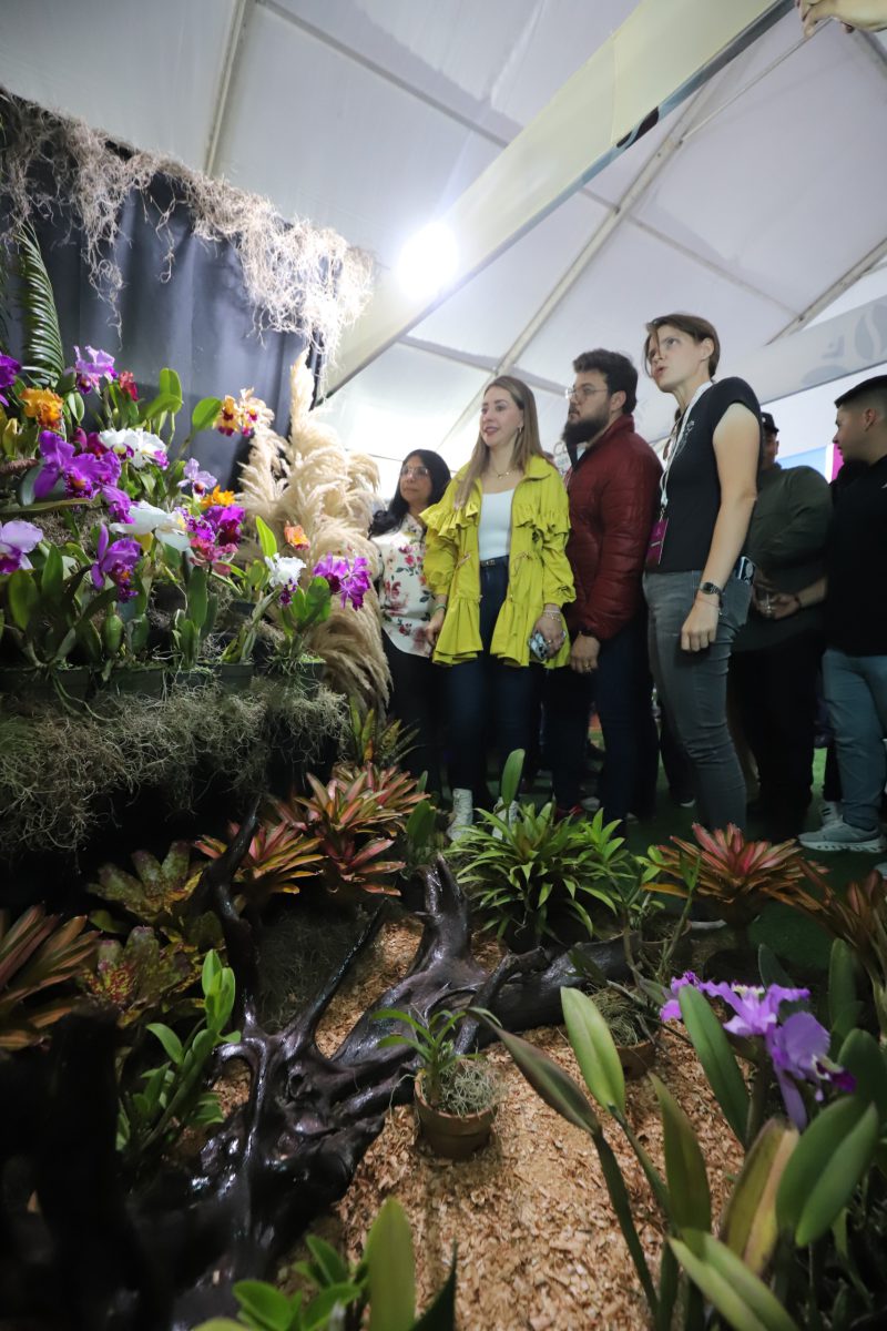 Gobernador Ernesto Luna inaugura la Gran Expo Flor y Café Caripe 2025 3 expo3 1