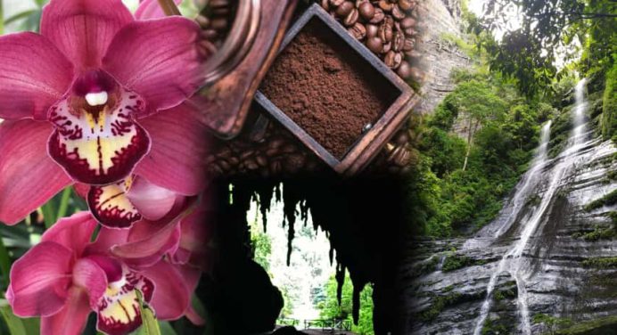 Expo Flor y Café 2025 impulsará el turismo de aventura en Acosta y Caripe