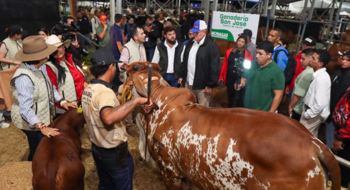 Monagas Expo Agroindustrial 2025 reúne lo mejor de la alta genética bovina del país