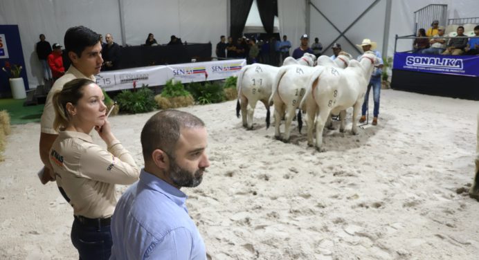 Genética de ganadería criolla calificada como de altísima calidad por jueces internacionales
