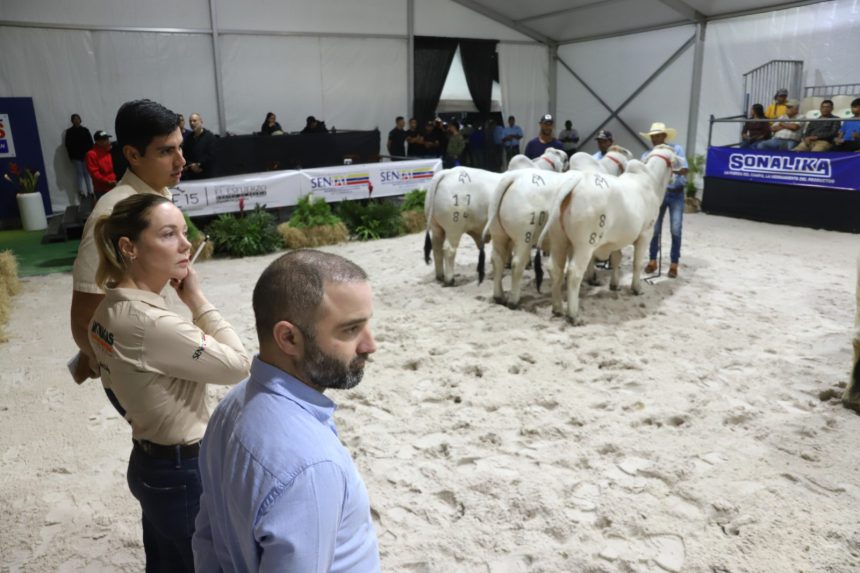 Genética de ganadería criolla calificada como de altísima calidad por jueces internacionales 1 expo agroindustrial