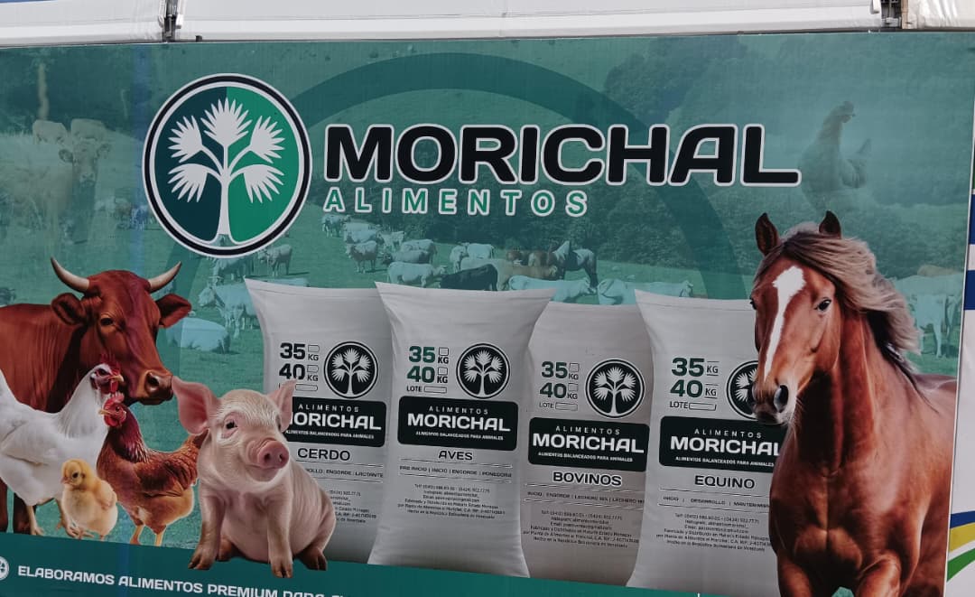 morichal de alimentos