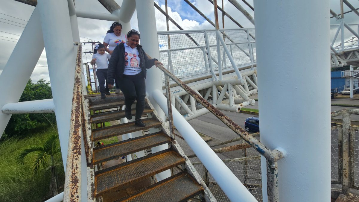 Avanza rehabilitación de la pasarela de la avenida Bella Vista 2 pasarela2 1