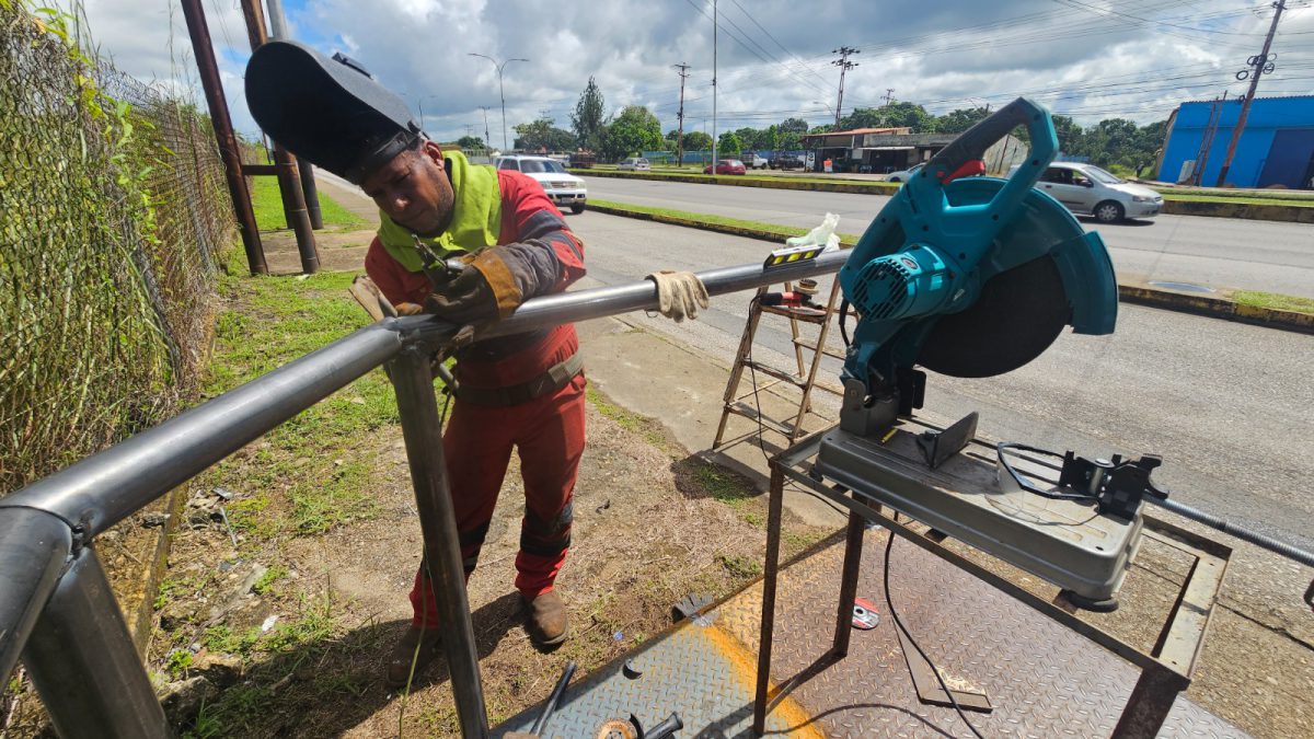 Avanza rehabilitación de la pasarela de la avenida Bella Vista 3 pasarela3