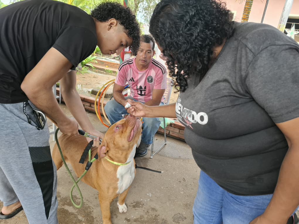 Más de 400 familias de Las Cocuizas favorecidas con distribución de alimentos 3 CANES4
