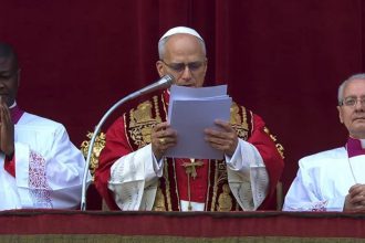 defensores de la paz