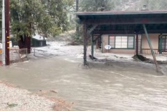 Estado de emergencia