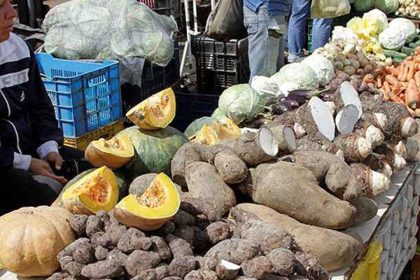 exportación de alimentos
