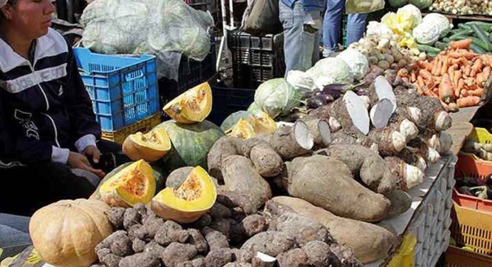 Maduro: exportación de alimentos será la nueva fuente de divisas para Venezuela