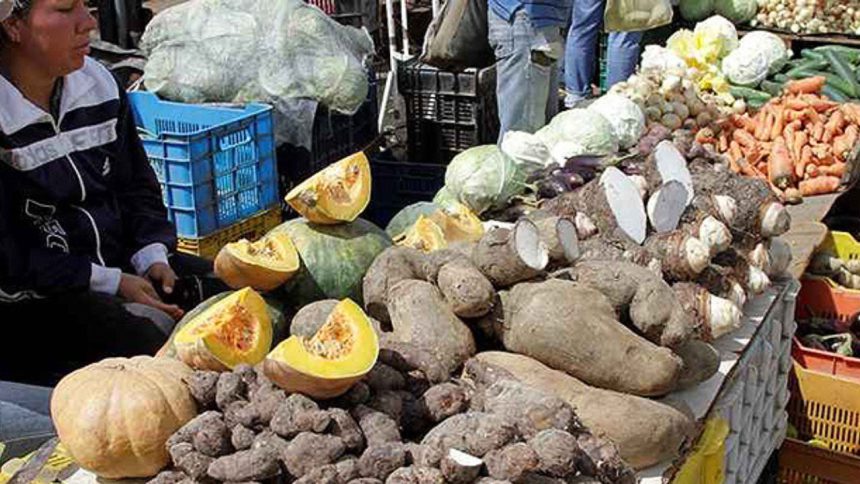 Maduro: exportación de alimentos será la nueva fuente de divisas para Venezuela 1 exportación de alimentos