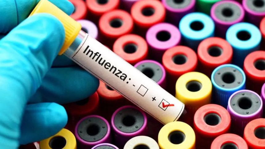 influenza A H3N2