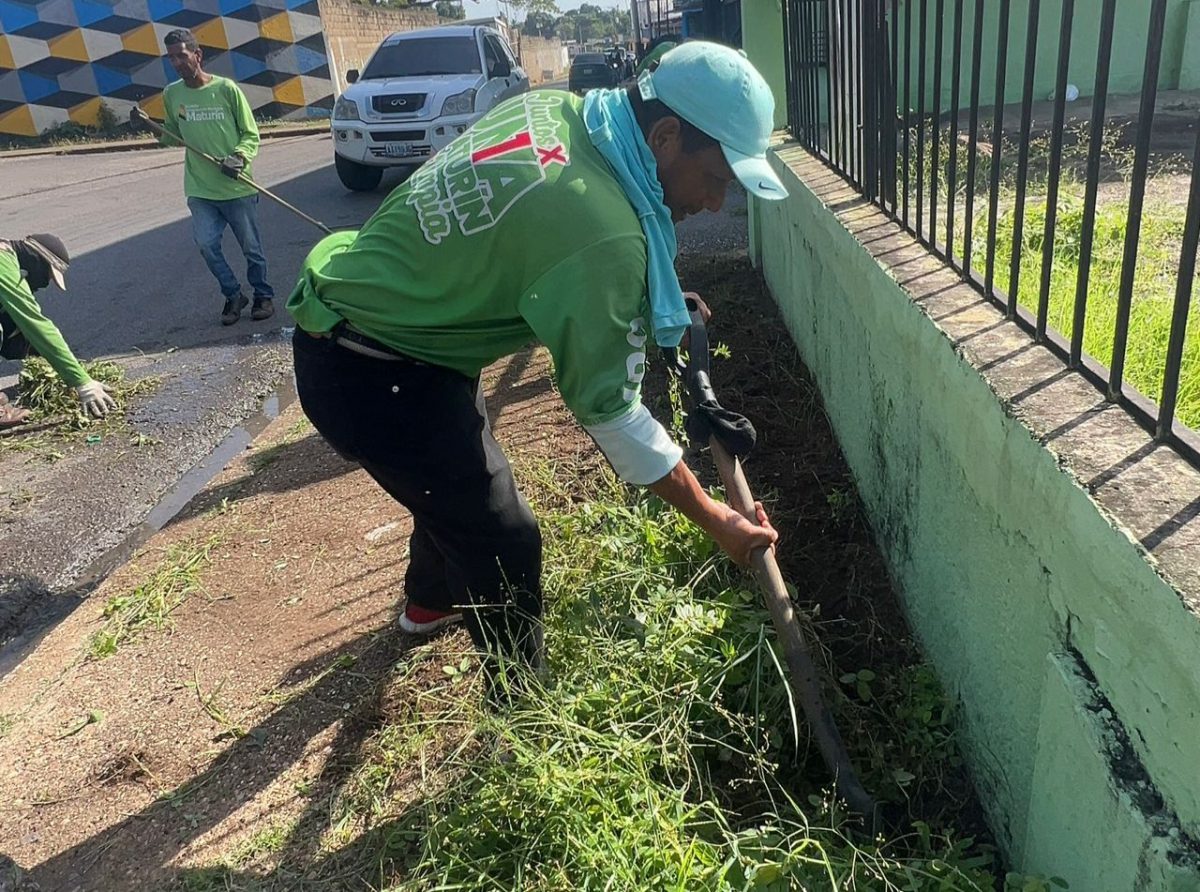 Alcaldía de Maturín realiza jornada de limpieza en la calle Azcúe y avenida Rivas 2 barrido2