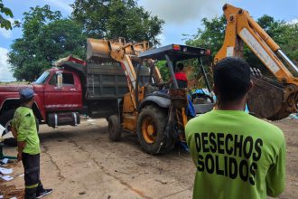 recolección de desechos