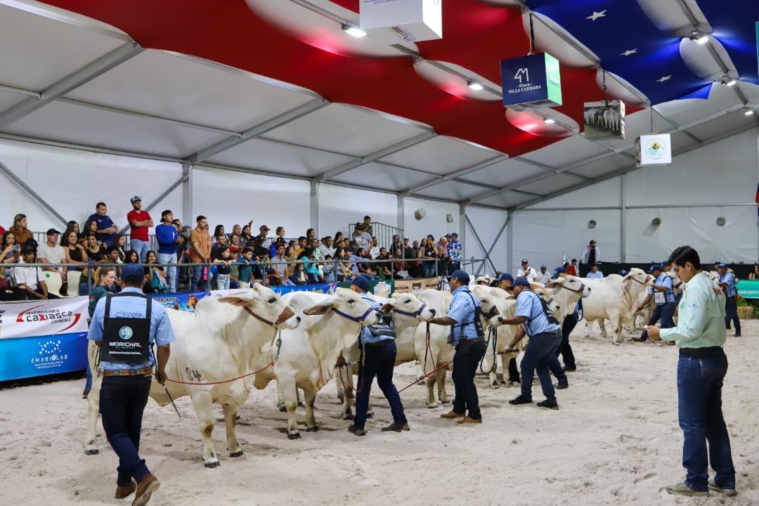 Más de 100 mil visitantes certifican el éxito total de la Monagas Expo Agroindustrial 2025 5