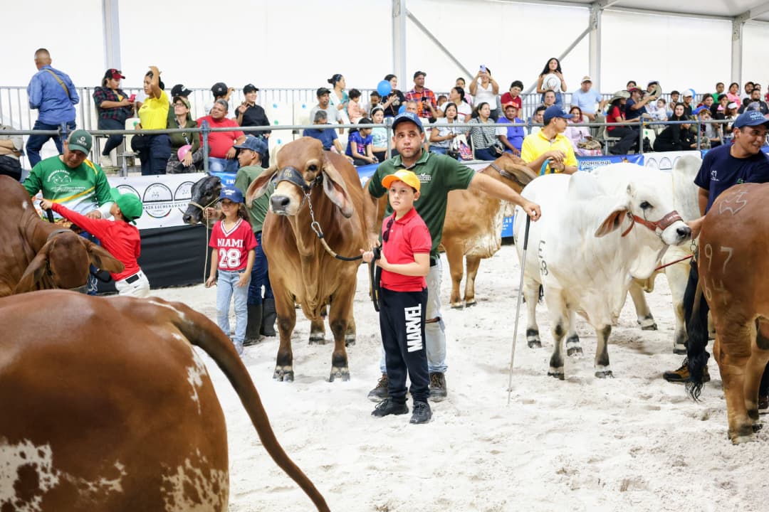 Más de 100 mil visitantes certifican el éxito total de la Monagas Expo Agroindustrial 2025 6