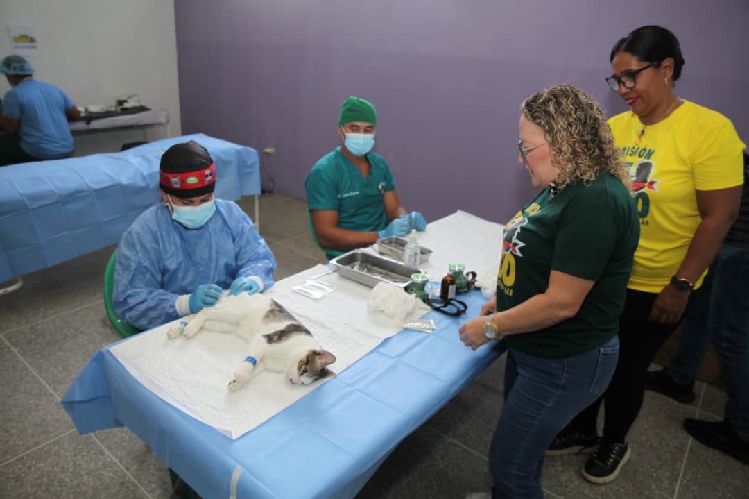 Misión Nevado y Gobernación esterilizan a más de 130 mascotas en jornada gratuita 3 nevadp3 1