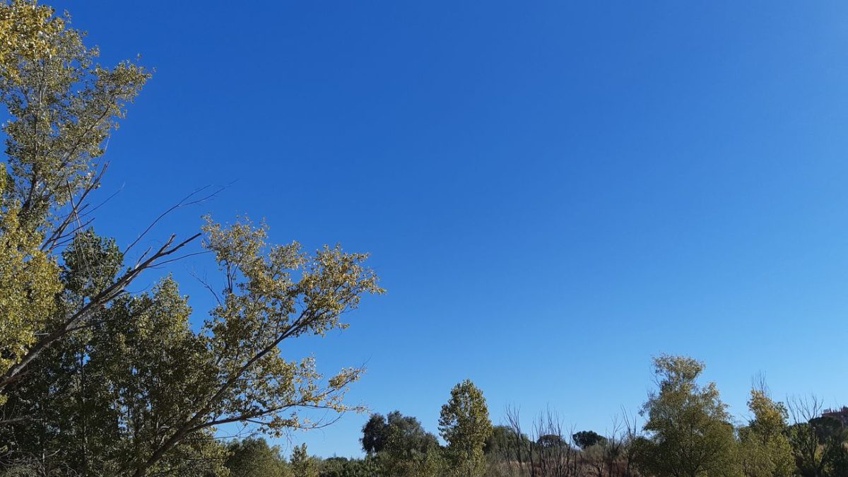 reporte del clima en Venezuela 