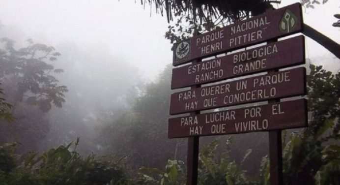 Incendio en el Parque Henri Pittier es controlado