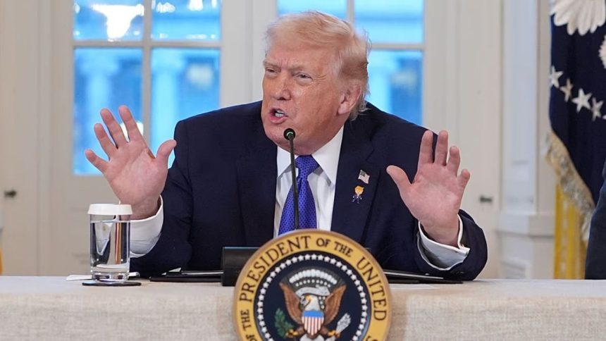 Trump advierte: Flota de barcos está lista para responder a Irán 1 Flota de barcos