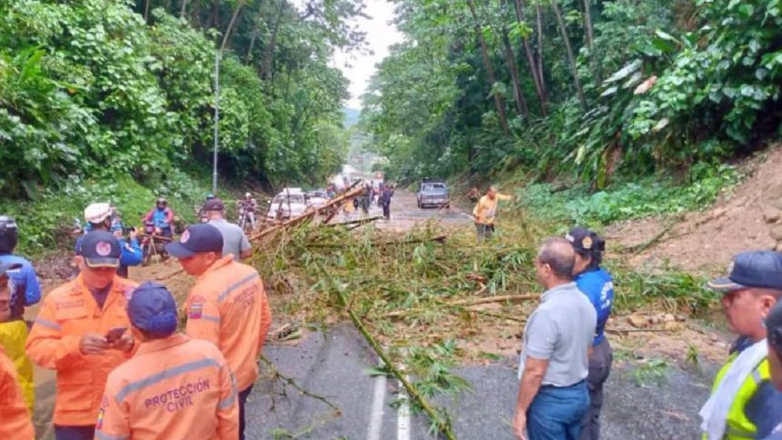 Fuertes lluvias en Mérida causan deslizamiento de tierra afectando varias viviendas 1 Fuertes lluvias