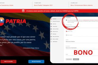 transferencia de Patria