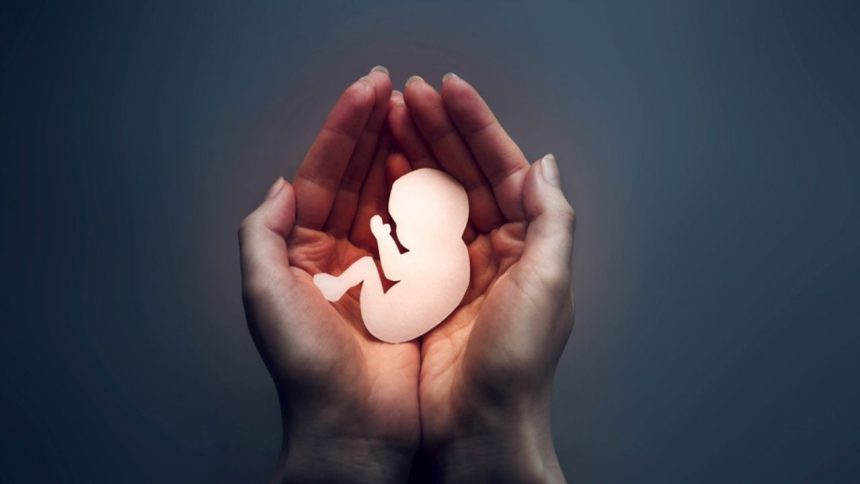 Inglaterra y Gales registran niveles históricos de abortos 1 de abortos