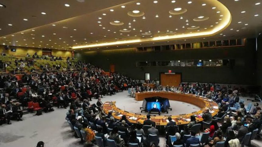 DDHH de la ONU critican la injerencia estadounidense en Venezuela 1 ONU