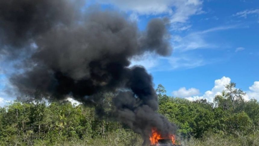 FANB desmanteló 3 campamentos de minería ilegal y narcotráfico en el estado Amazonas 1 minería ilegal