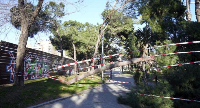 Vientos huracanados en España obligan a suspender actividades y trenes