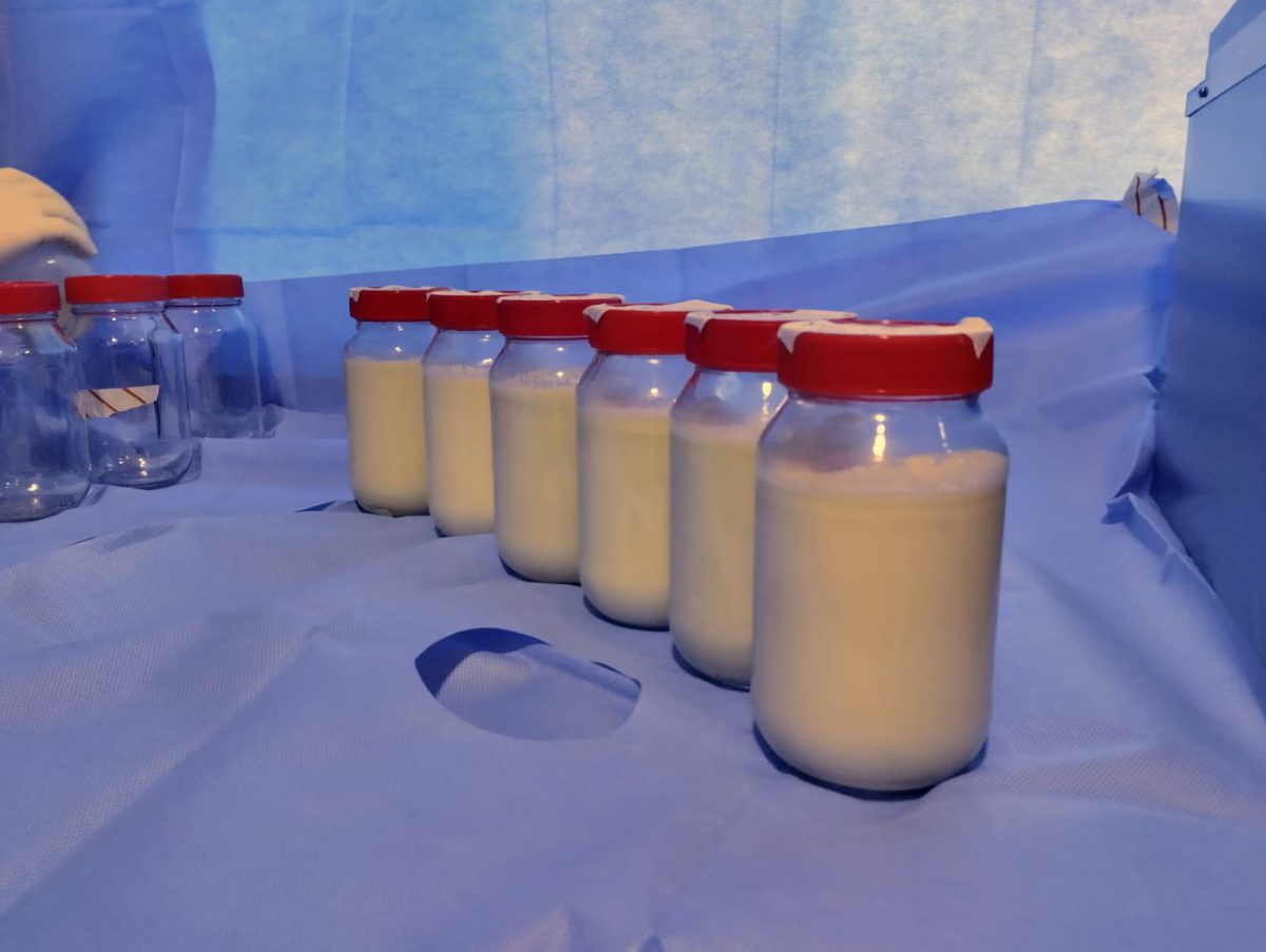 WhatsApp Image 2026 02 05 at 1.01.42 PM