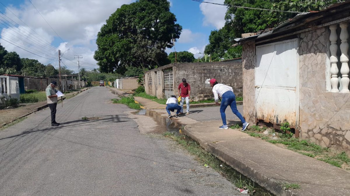 WhatsApp Image 2026 02 05 at 4.09.46 PM 2