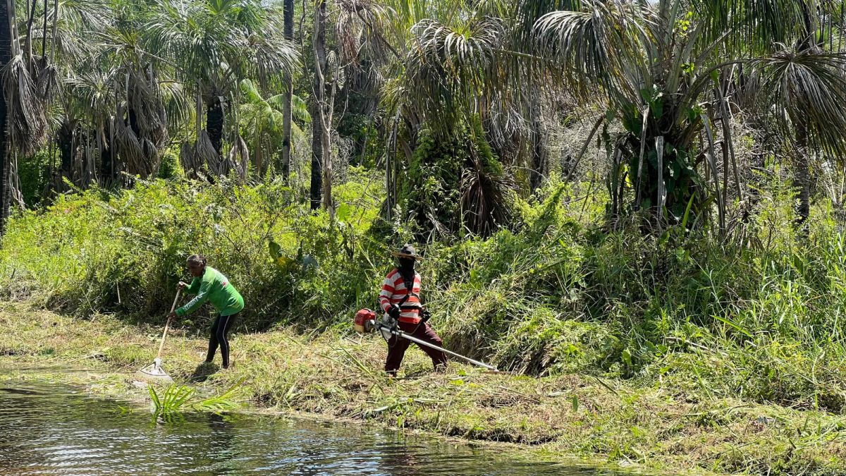 WhatsApp Image 2026 02 06 at 4.30.12 PM 1