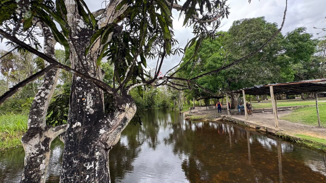 WhatsApp Image 2026 02 08 at 10.09.48 AM 2