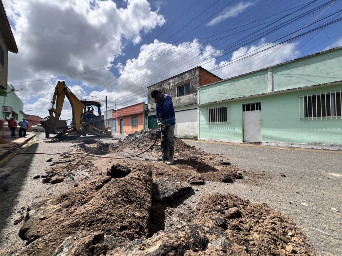 WhatsApp Image 2026 02 08 at 12.21.52 PM