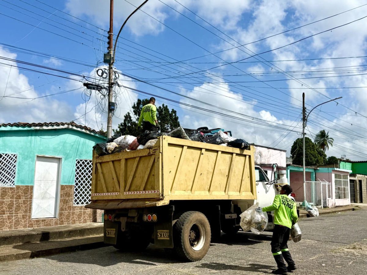 WhatsApp Image 2026 02 10 at 1.26.35 PM 2